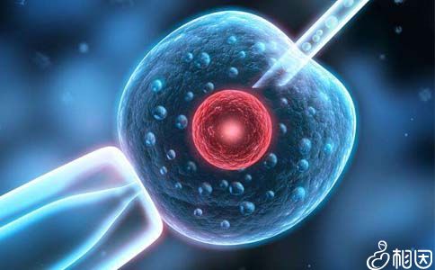 好孕案例